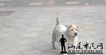 003.webp.jpg