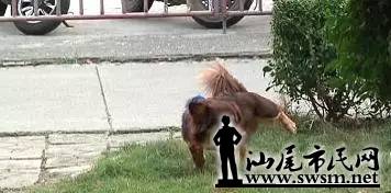 001.webp.jpg