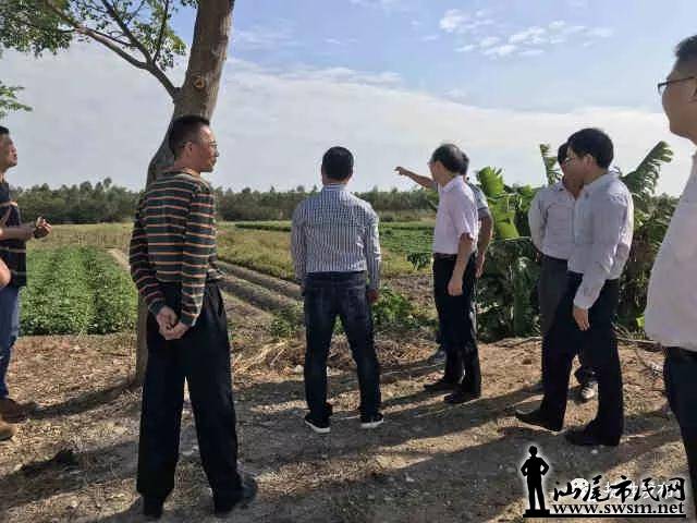 汕尾市民网-省旅游局副局长梅其洁率队到捷胜镇沙坑村开展旅游调研