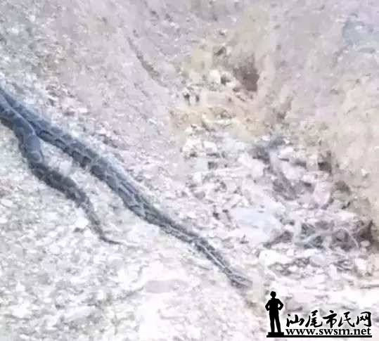 1ec606da7e0e3242763b287d160eb19fx539x485x27.webp;,3,jpegx;3,700x.jpg