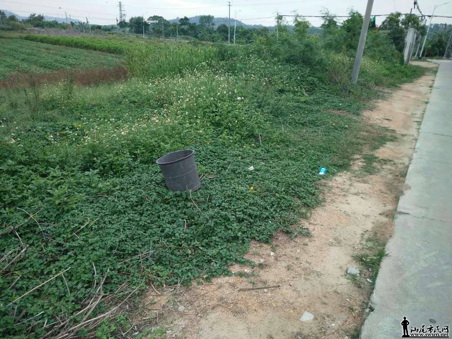 419324255.jpg