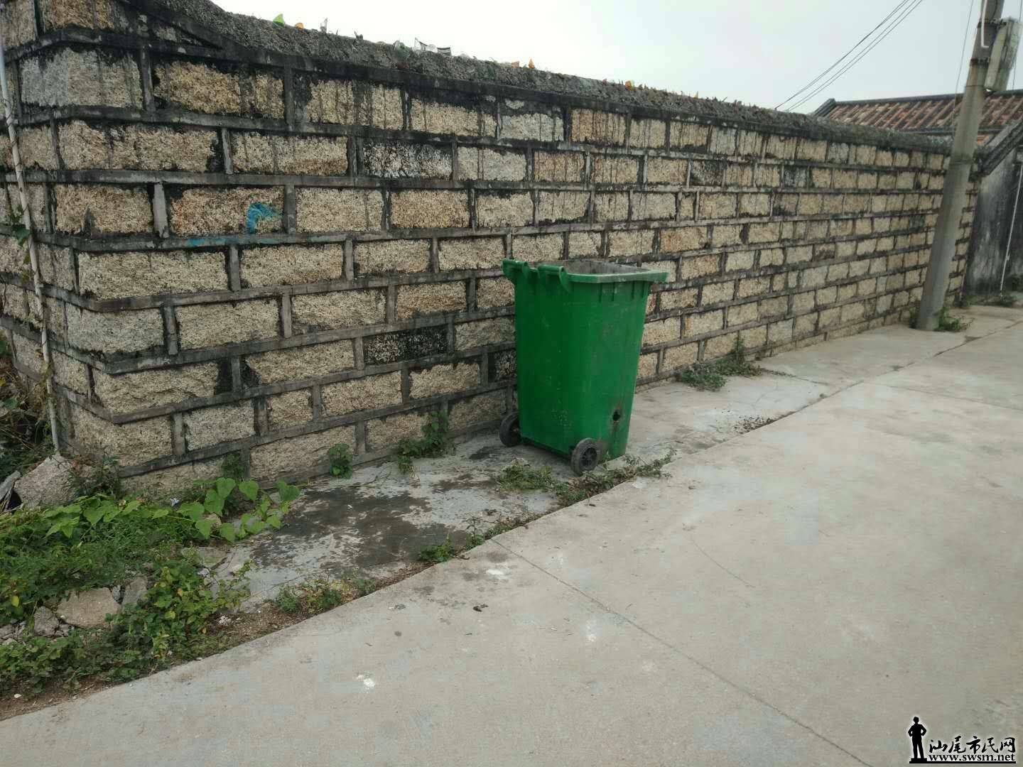310469317.jpg