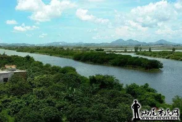 f907b6f450b52ced8a6c06ef730dffc8x590x397x41.webp;,3,jpegx;3,700x.jpg