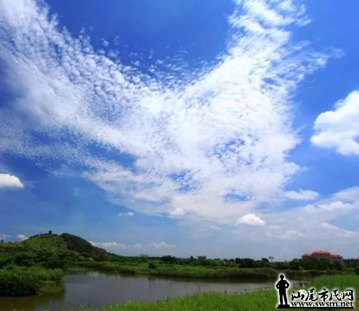 b913f8a5f8b52ae6db1eb53ce0896deex718x622x34.webp;,3,jpegx;3,700x.jpg
