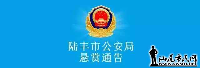 fe1f4c84bfb0730428975d83b02d6d3bx640x218x7.webp;,3,jpegx;3,700x.jpg