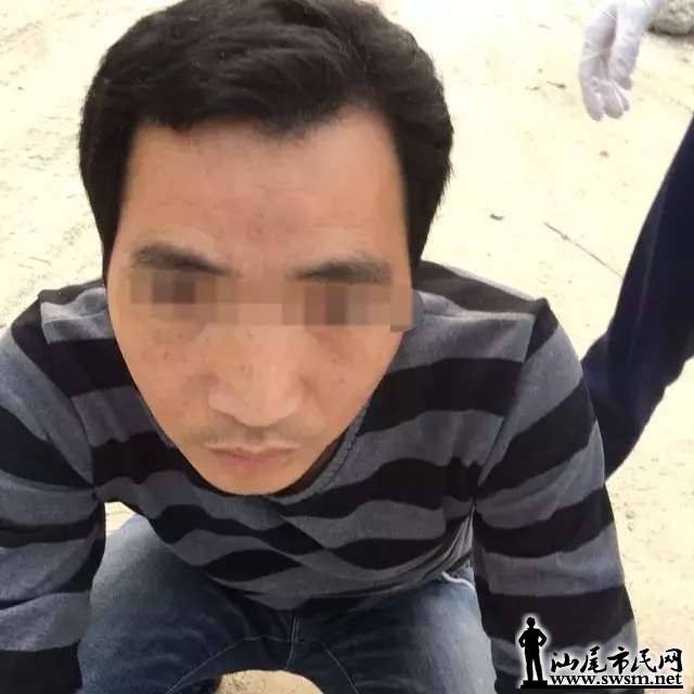 63edd6a9bbf4dc31b3f7cd22978fd5dcx640x640x22.webp;,3,jpegx;3,700x.jpg