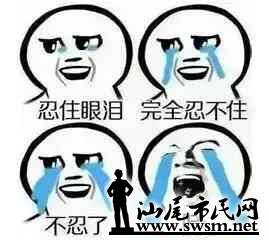 85a4c6823728763d5bf0608eae1b875ex269x240x11.webp;,3,jpegx;3,700x.jpg