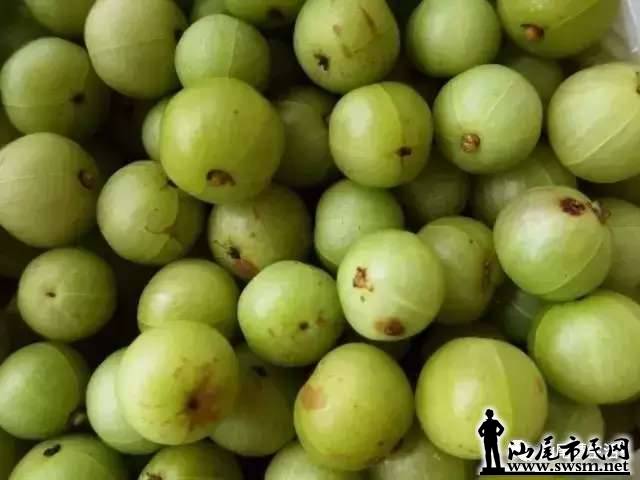 acbf9f200831d7afa549a3ef927e9a70x640x480x18.webp;,3,jpegx;3,700x.jpg