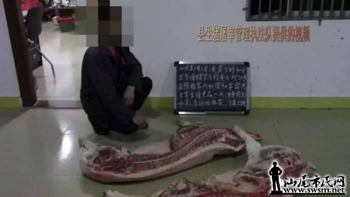 5b81109742c69f02f370391ea78b19a3x1080x608x26.webp;,3,jpegx;3,700x.jpg