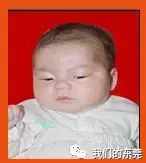 06b63dc781881a3da0c36aae3018432ax146x163x3.webp;,3,jpegx;3,700x.jpg