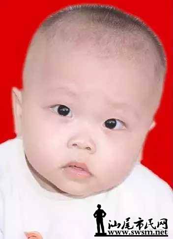 aed83025fcc495a397ff725c85a667fcx352x487x7.webp;,3,jpegx;3,700x.jpg