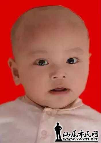064eeb5526f8d490ceb2218b515b404bx351x495x6.webp;,3,jpegx;3,700x.jpg