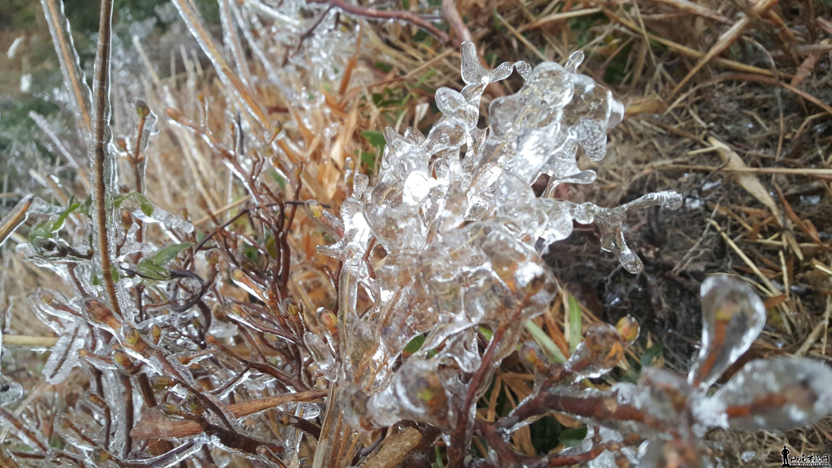 ΢ͼƬ_20180108201724.jpg