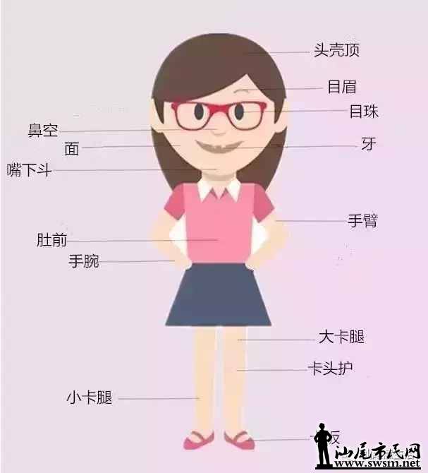 31db60669cb35b2a28e7a534084dcf99x607x670x13.webp;,3,jpegx;3,700x.jpg