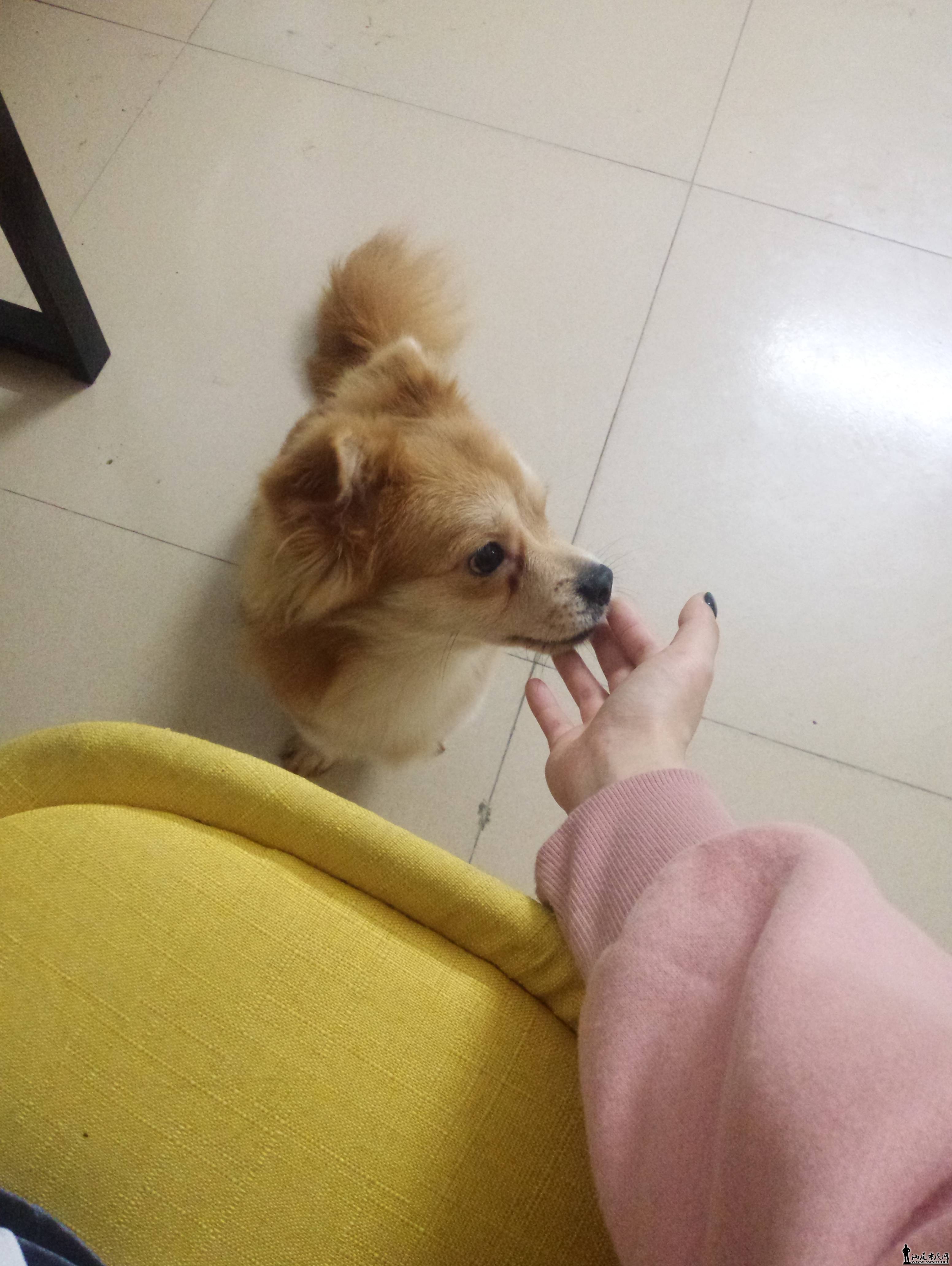QQͼƬ20180131211920.jpg