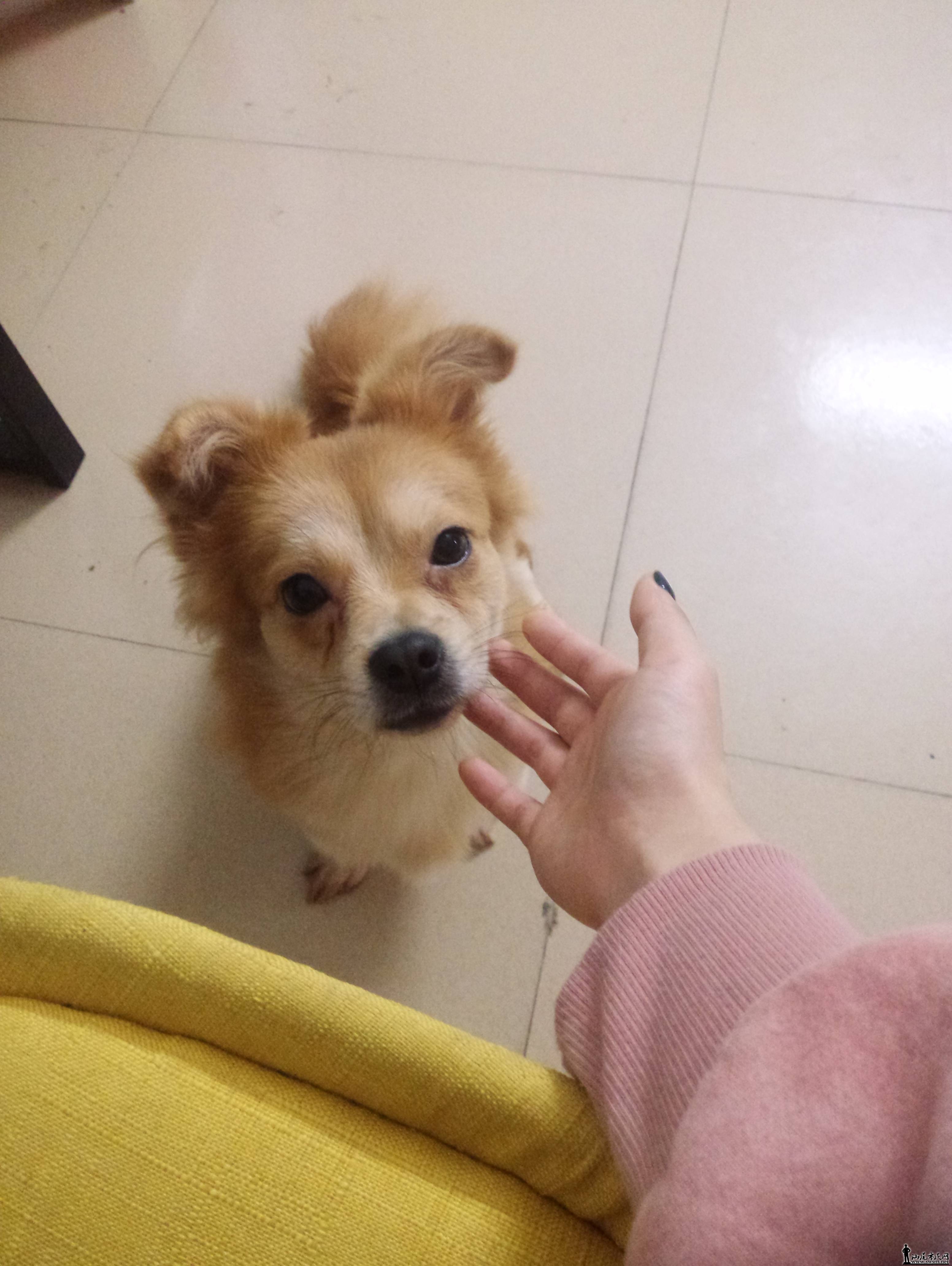 QQͼƬ20180131211911.jpg