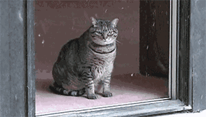 640 (3).gif