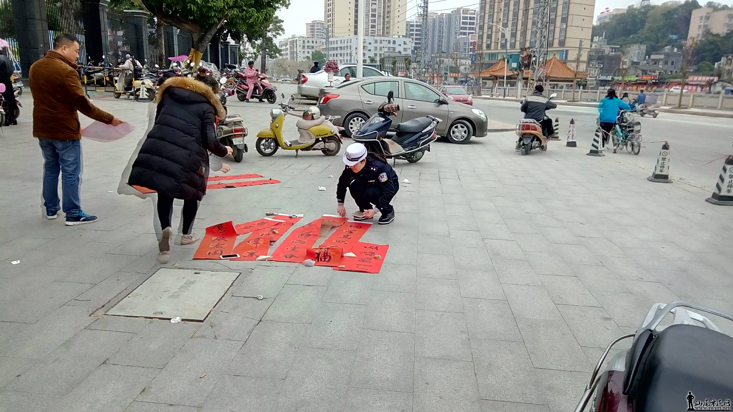 P80204-115741.jpg