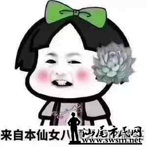 d24a91b1fdb116ae5b515195369486b6x300x300x11.webp;,3,jpegx;3,700x.jpg