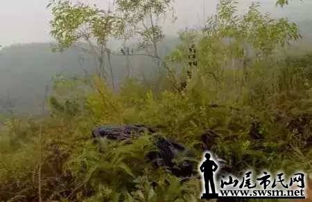 d7dfd6e9a00a622510d21d094e8f8b11x450x292x17.webp;,3,jpegx;3,700x.jpg