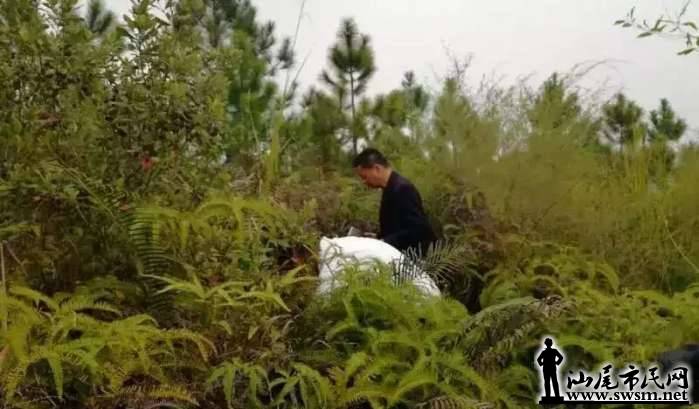 211be78d11009fff1653934e6b793516x800x468x52.webp;,3,jpegx;3,700x.jpg