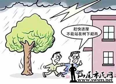 a2bef6ec0737f5d710a75ea6fed4b216x400x290x17.webp;,3,jpegx;3,700x.jpg