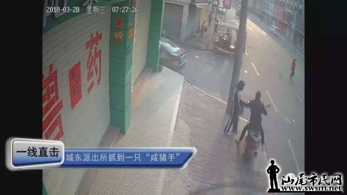 97c03073d26a0af3cb51880fb969290cx1080x608x34.webp;,3,jpegx;3,700x.jpg