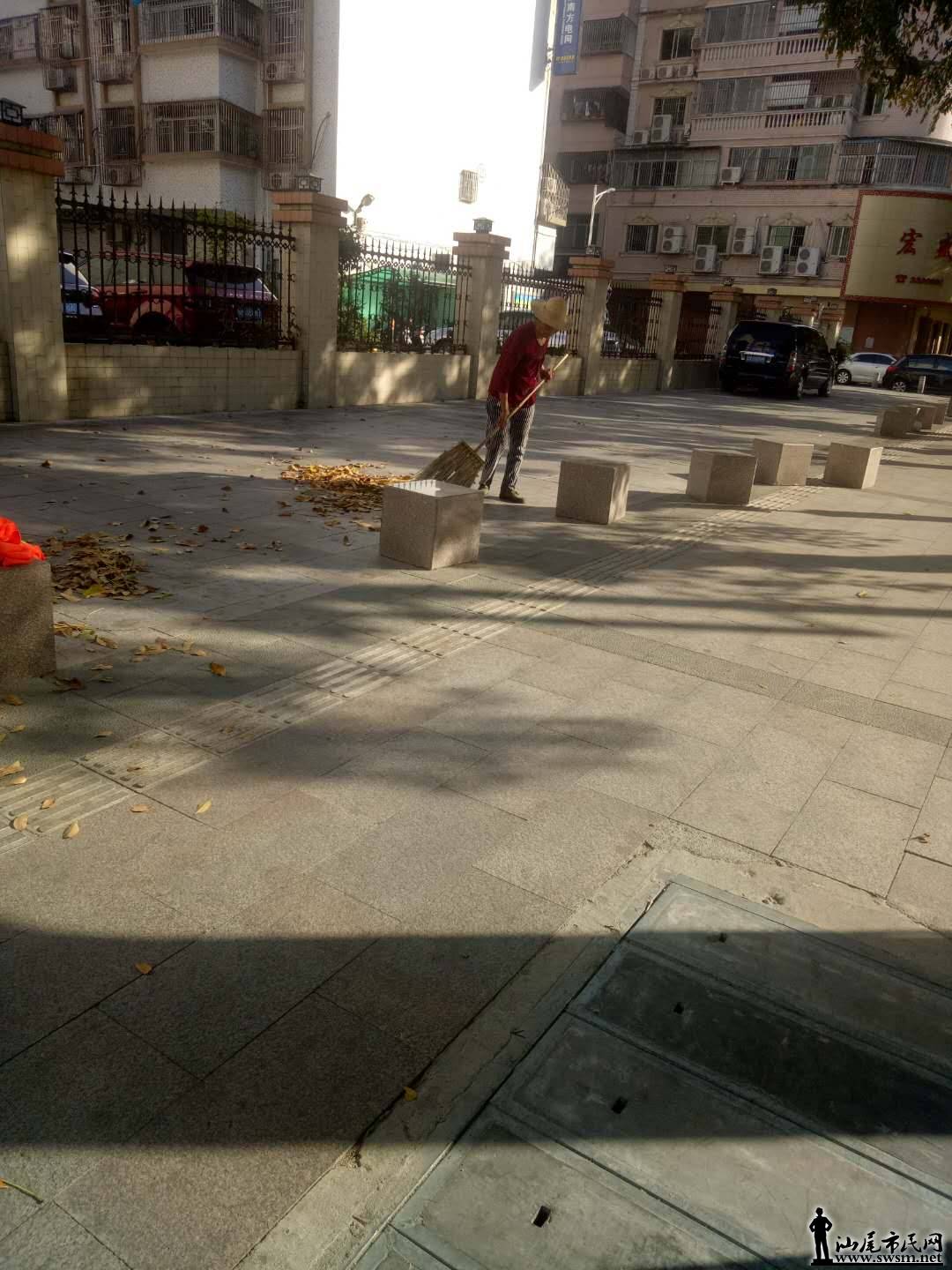 .jpg
