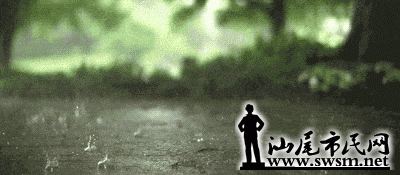 08b119d7c8dbf32f998e80d15429ce51x400x175x809.gif;,60,;12,0,600x.gif