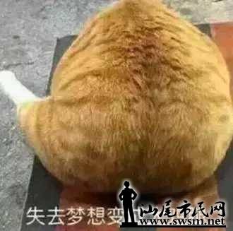 28682990c2f64b5e1285543fe72520c8x330x327x12.webp;,3,jpegx;3,700x.jpg