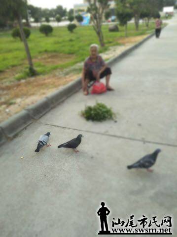 ΢ͼƬ_20180527141913.jpg
