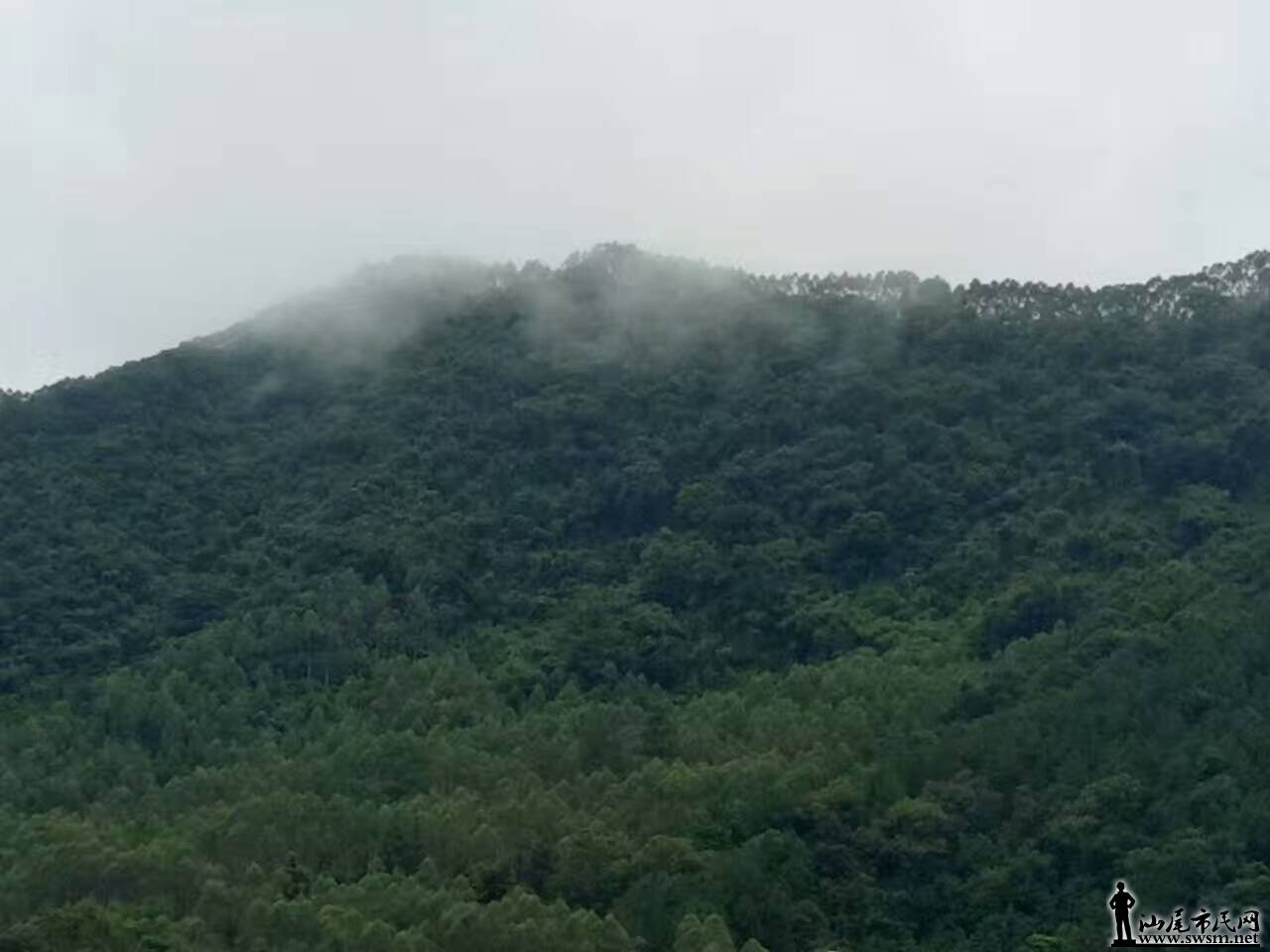 ھȵ