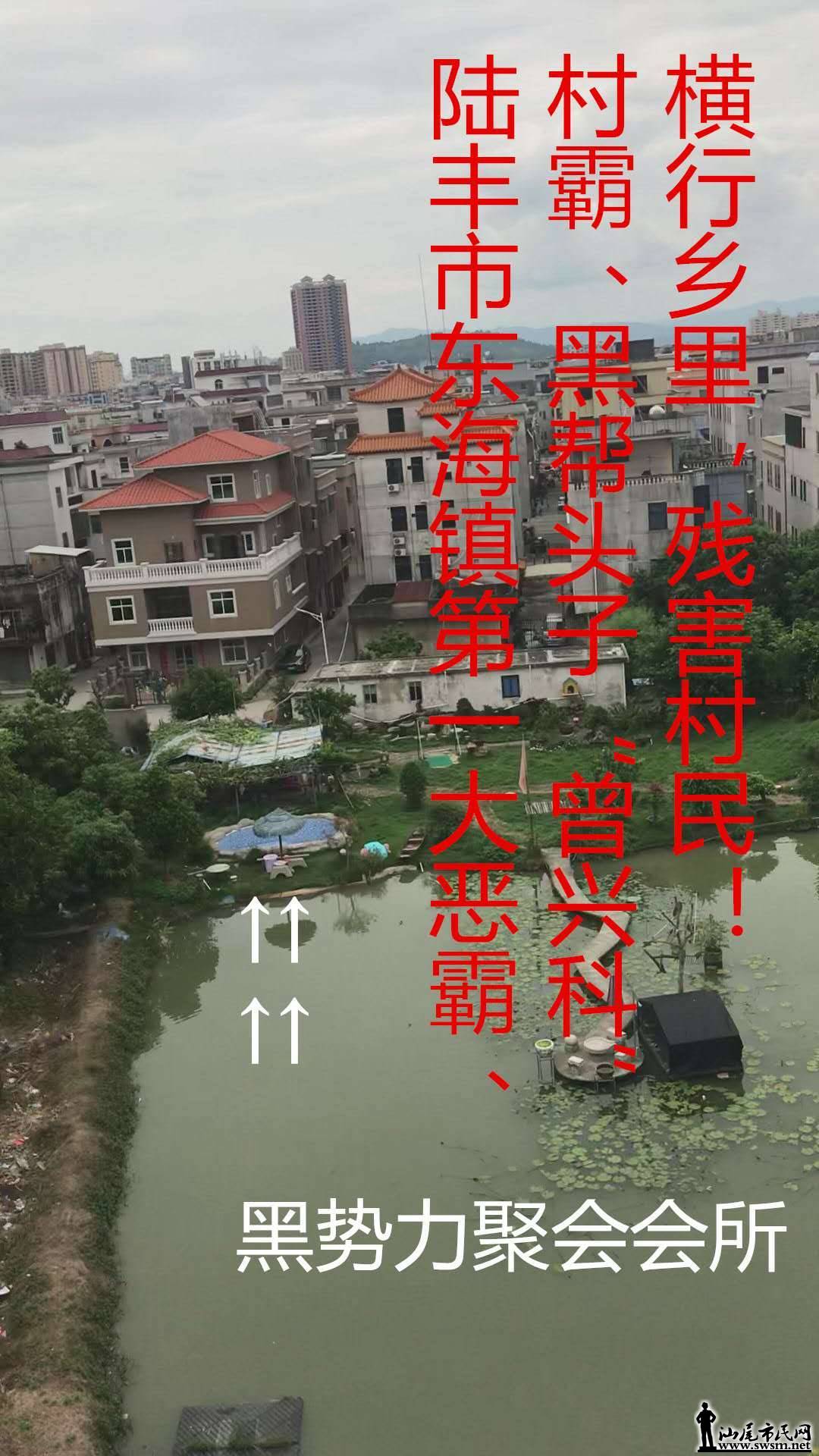陆丰市东海镇人口_陆丰市东海镇(2)