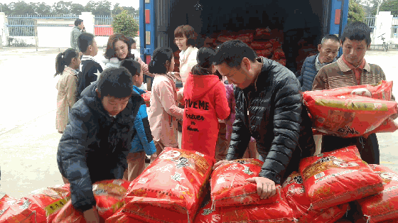 VID_201901_clip2.gif