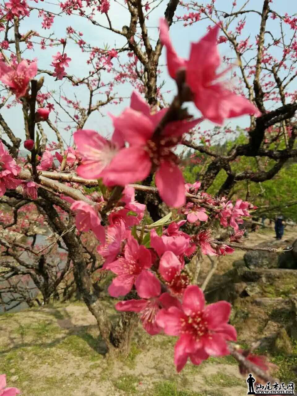 wechat_upload15485872435c4d90ebe4b54