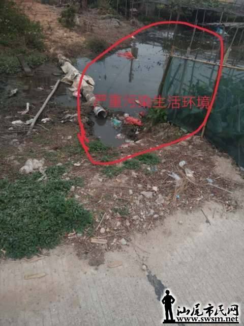wechat_upload15552578255cb359e182c1e