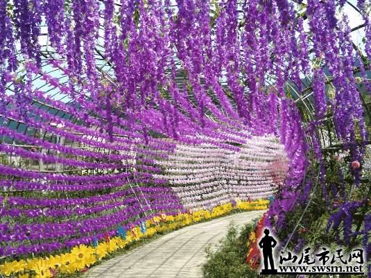 wechat_upload15567304785cc9d26e01b23
