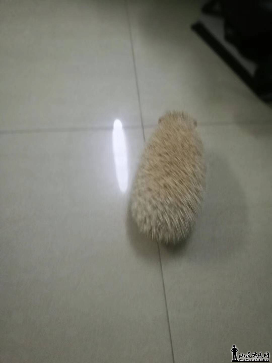 ΢ͼƬ_20190629215432.jpg