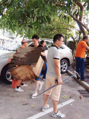 5.gif