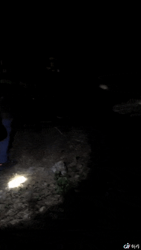 ΢ͼƬ_20190805235002.gif