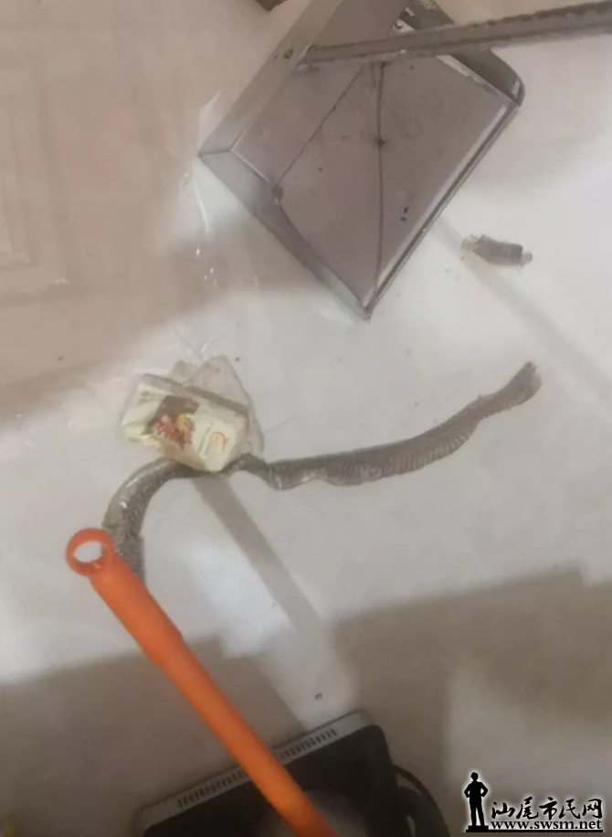 QQͼ20190903182402.png