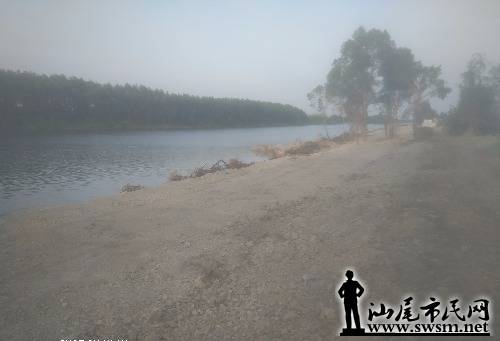 IMG_20191107_104607.jpg