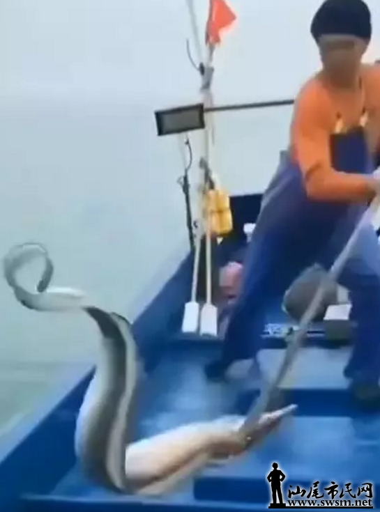 ΢Žͼ_20191222173700.png
