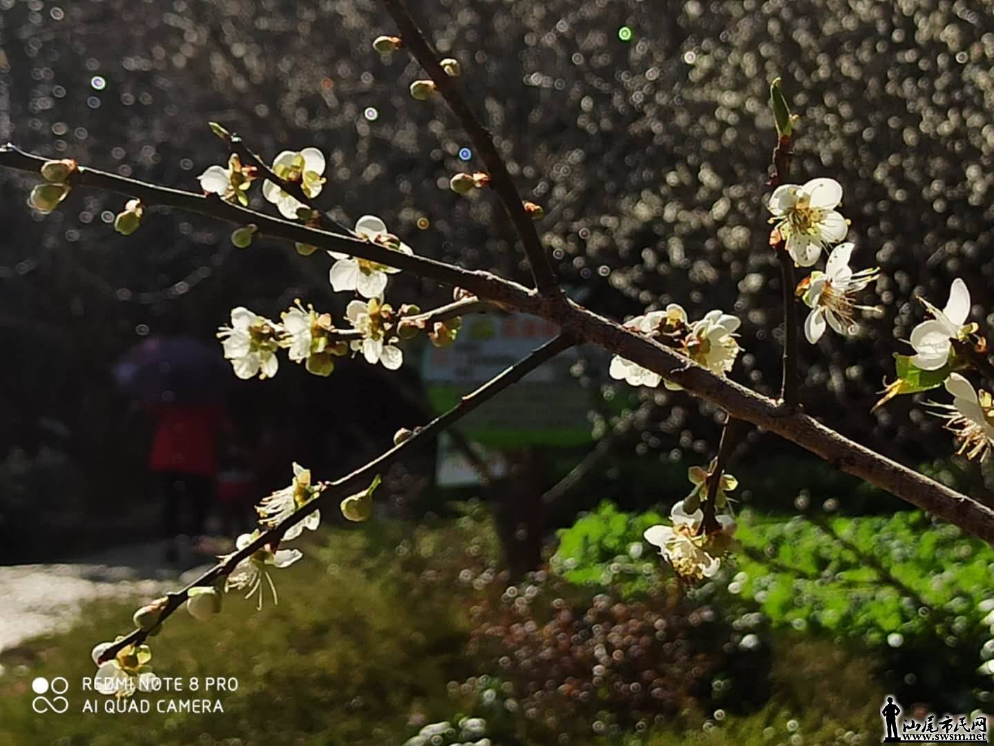 wechat_upload15775420955e0761cf05ba2