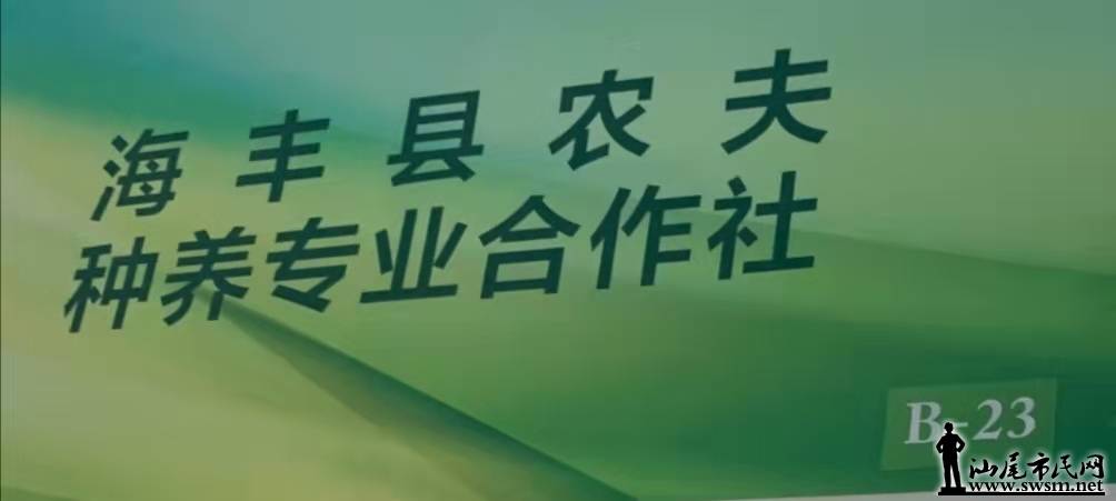 mmexport1605230327784.jpg