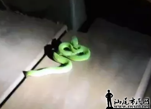 ΢Žͼ_20210701152846.png