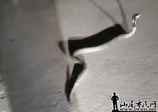 ΢ͼƬ_20210710173626.jpg