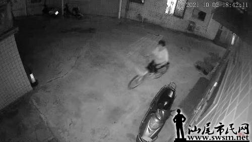 mmexport1633226952312.jpg