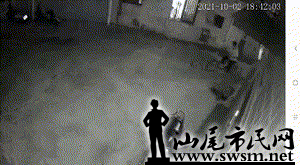 mmexport1633227847244.gif