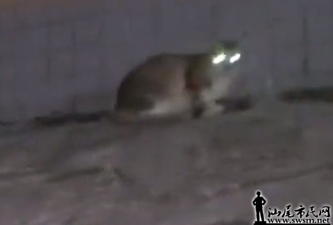 ͼ20211219153920.png
